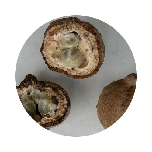 HUILE DE CHAULMOOGRA vierge